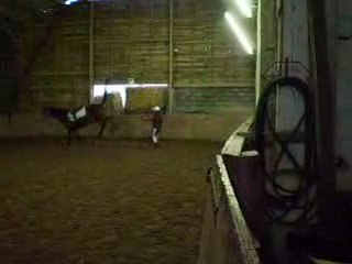 lou et moi en rêne longue + chute de cheval