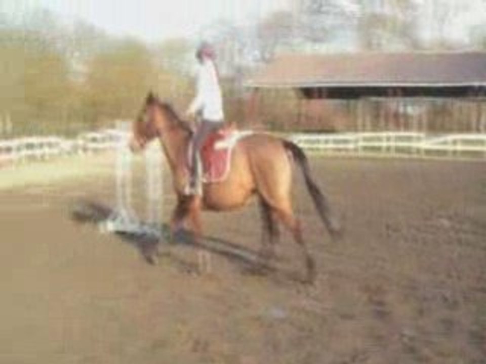 Miss obstacle