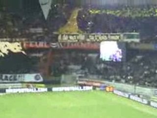 psg st etienne LES FUCKUS