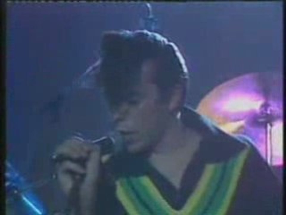 LES ALLIGATORS MAMBO ROCK