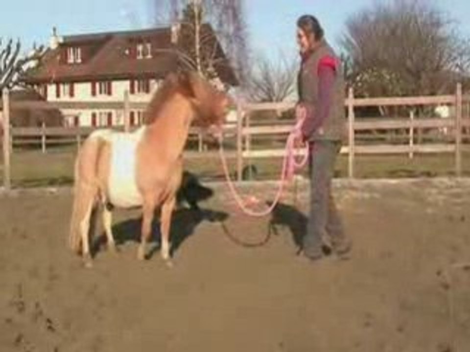 Hercule