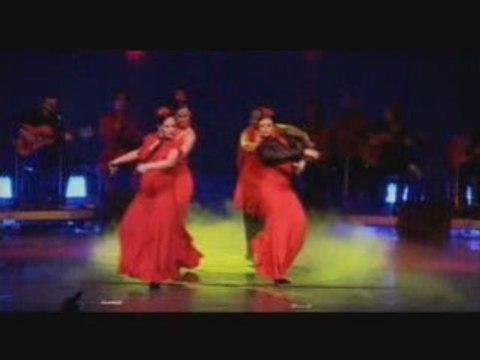 AL ANDALUS FLAMENCO NUEVO Dance Lyon Danse Cours Guitare Salsa Lyon Theatre Ecole El Andalouse Zumba Dancing danseuse Tangos RumbaS