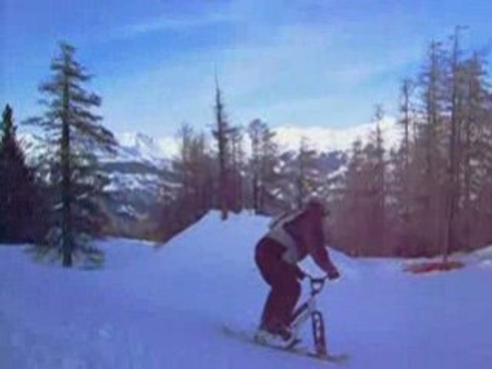 Snowscoot 2009
