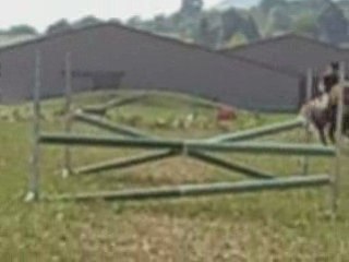 Parcour du galop 4 Aude et Gretel