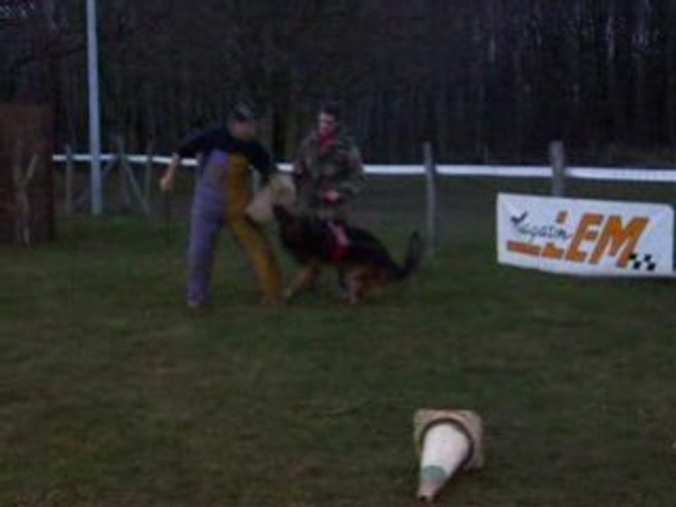 N° 1 - covou rci mordant 5