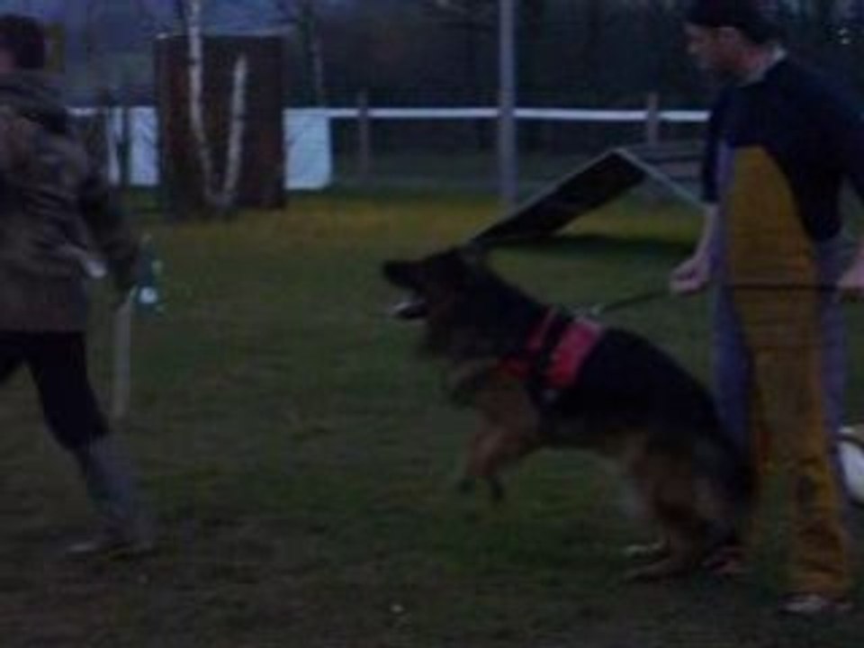 N° 2 -covou rci mordant