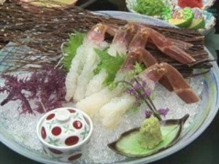 鮮度抜群、浜坂のカニ