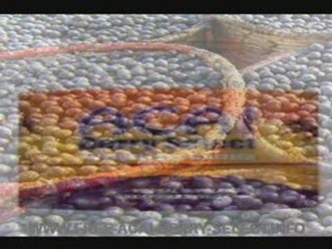 The Best [Acai Berry] (Quick Weight Loss Plans) That Work!