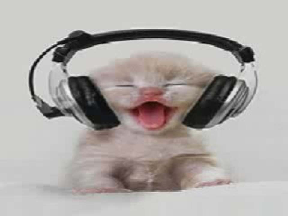 Smudo - Immer locker bleiben