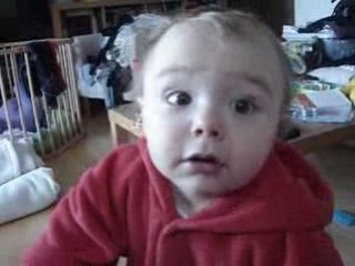 pépère écoute le dernier momo