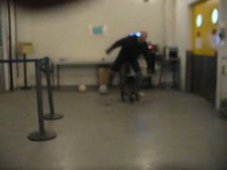 bouledogue francais caza 6