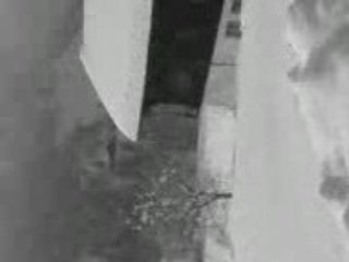 Toujours de la Neige