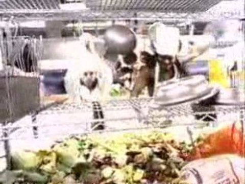 Stomp - Out Loud Kitchen