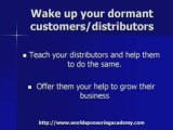 MLM Pro Vs MLM distributors: What they do different that mak