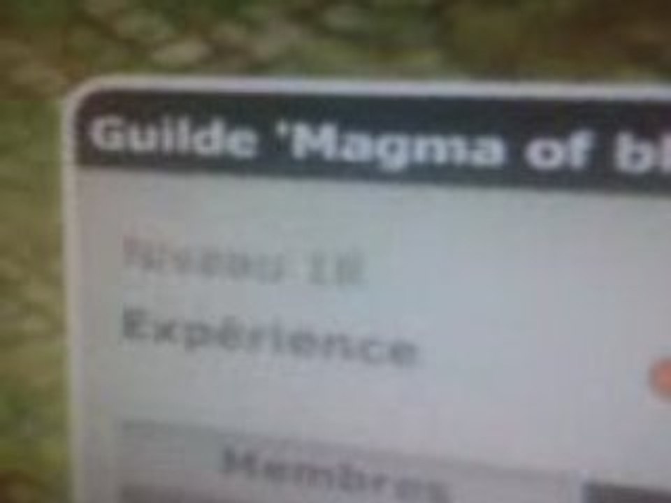ma guilde