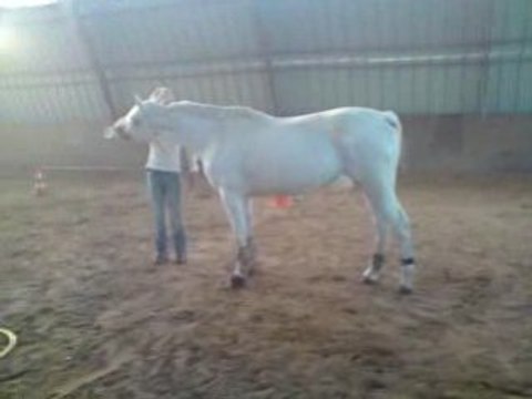 Pirogue & le début du pas espagnol