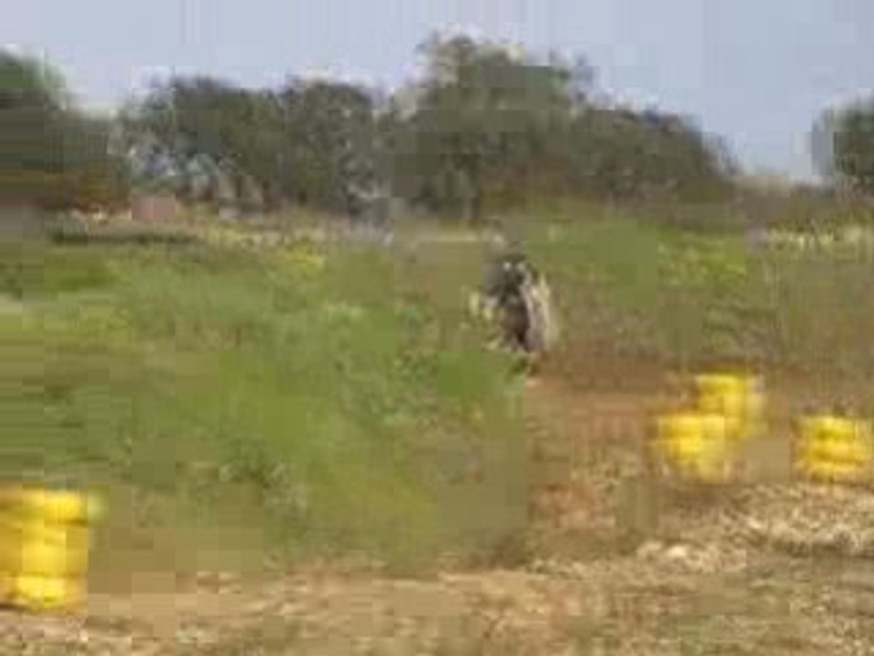 motocross en corse