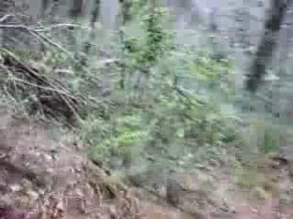RUN1