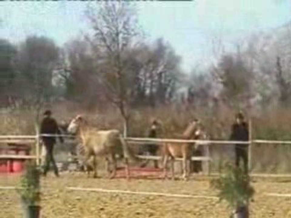 Camagri 2009 Vidéo 2