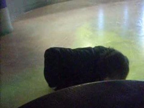 chute de yuna patinoire