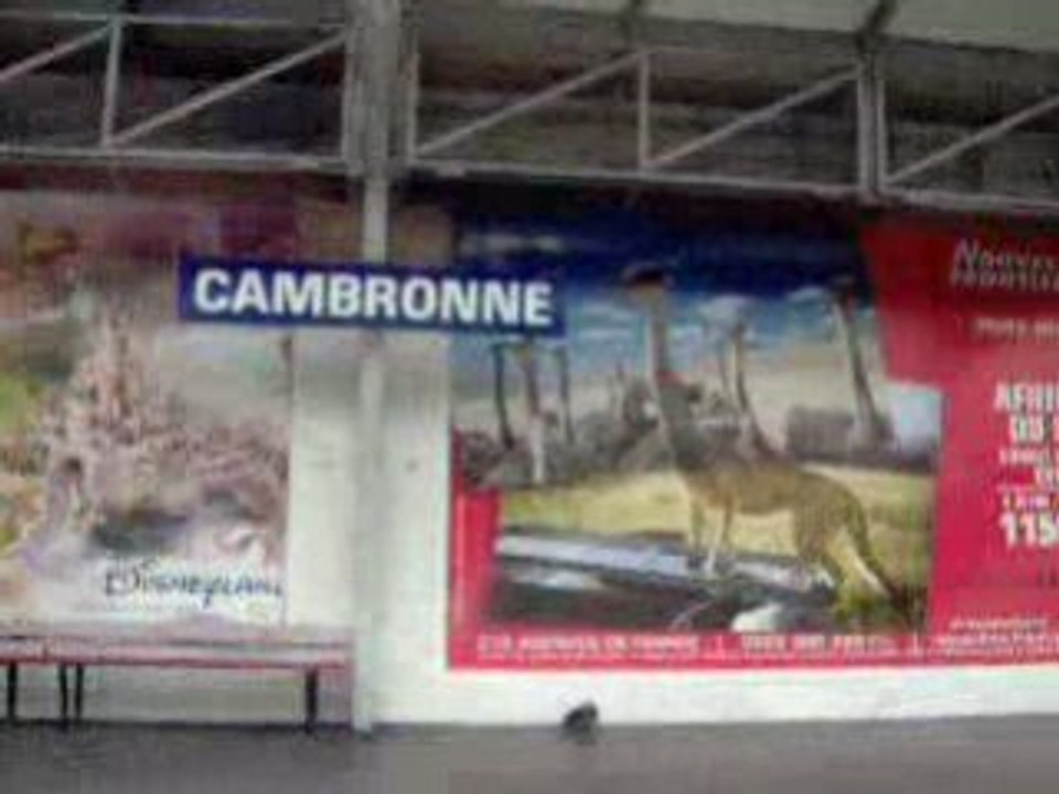 MetrobirHakeimHPIM0789