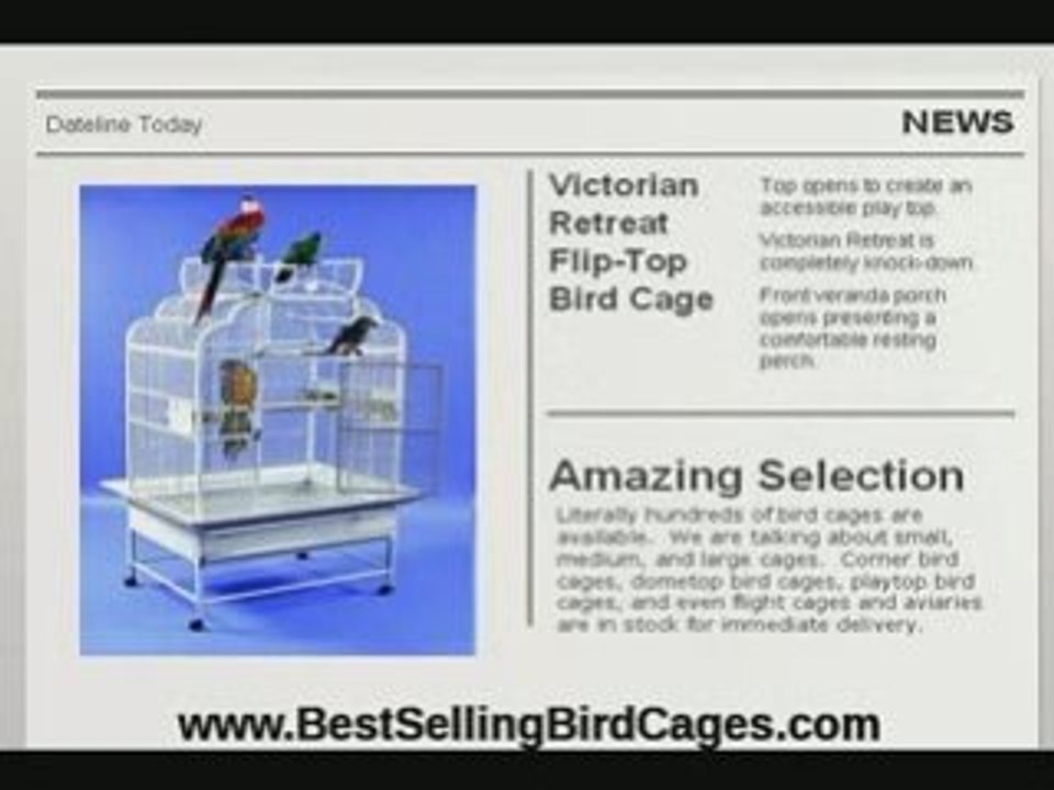 Easy-to-Clean Cages for Healthy Parrots