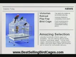 Choosing the Right Parrot Cage for Your Home