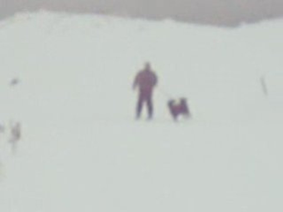 Mon Zom et le ski joring!!!