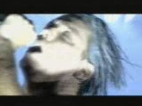 Video - Rammstein - Tier - (Live Aus Berlin)