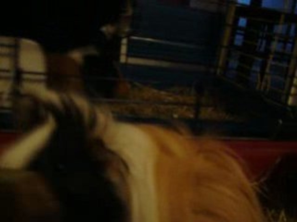 Vidéo sorti 16 02 09