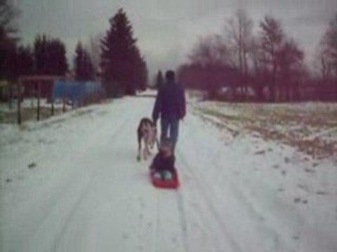 Neige +Théo et chiens 00013