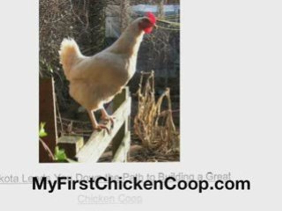 Building Chicken Coops