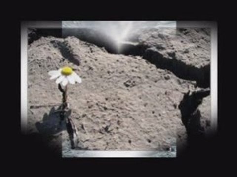 ıhlamurlar çiçek açtığı zaman - bahattin karakoç