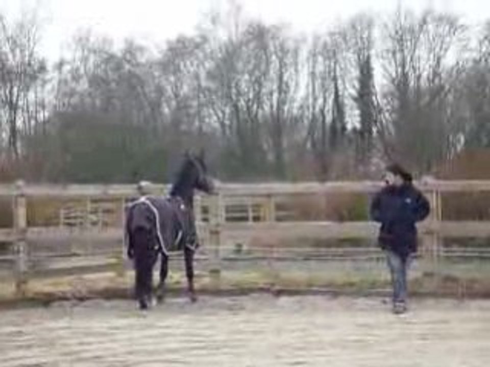 Donat et Rap' au paddock