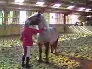 apprentissage reverence