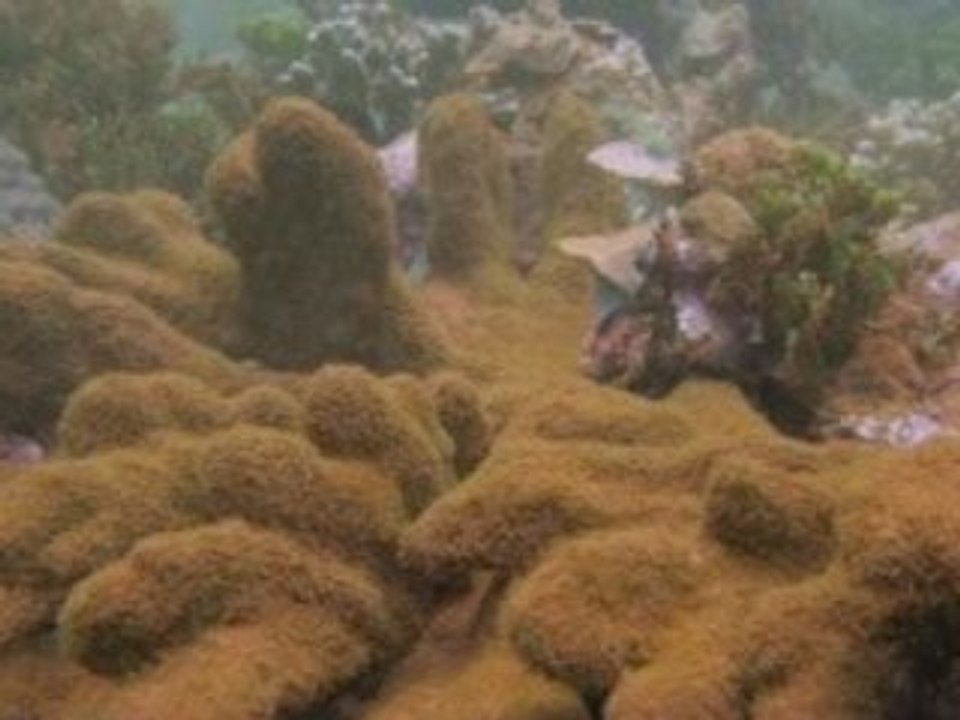 Waigeo, The Lost Paradise