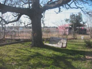 330 Young School House Road,  Smithville, Texas