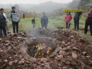 China Bird Flu May Be Worse than Reports Claim