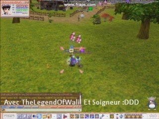 Flyff Walil et soigneur