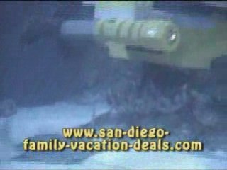 Sea Life Aquarium at Legoland California