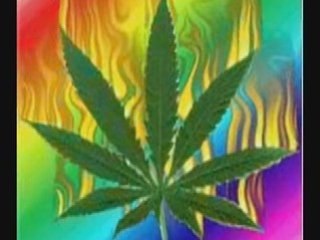 I'm Getting High Tonight  E-SHY (supposed to die ...