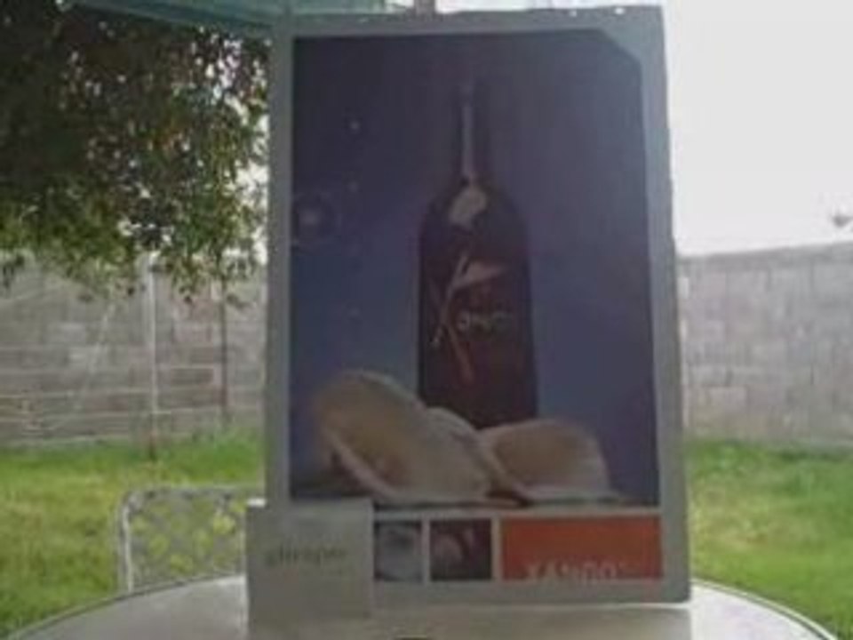 looking for leaders in network marketing