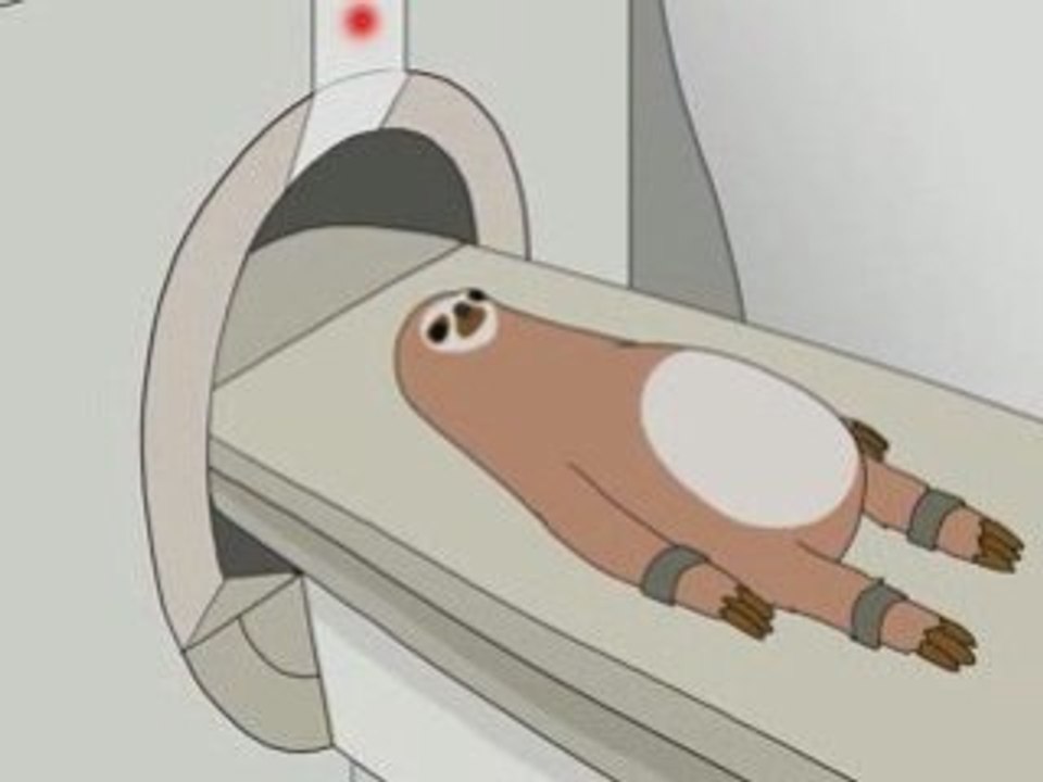 SLOTH: Perfectra