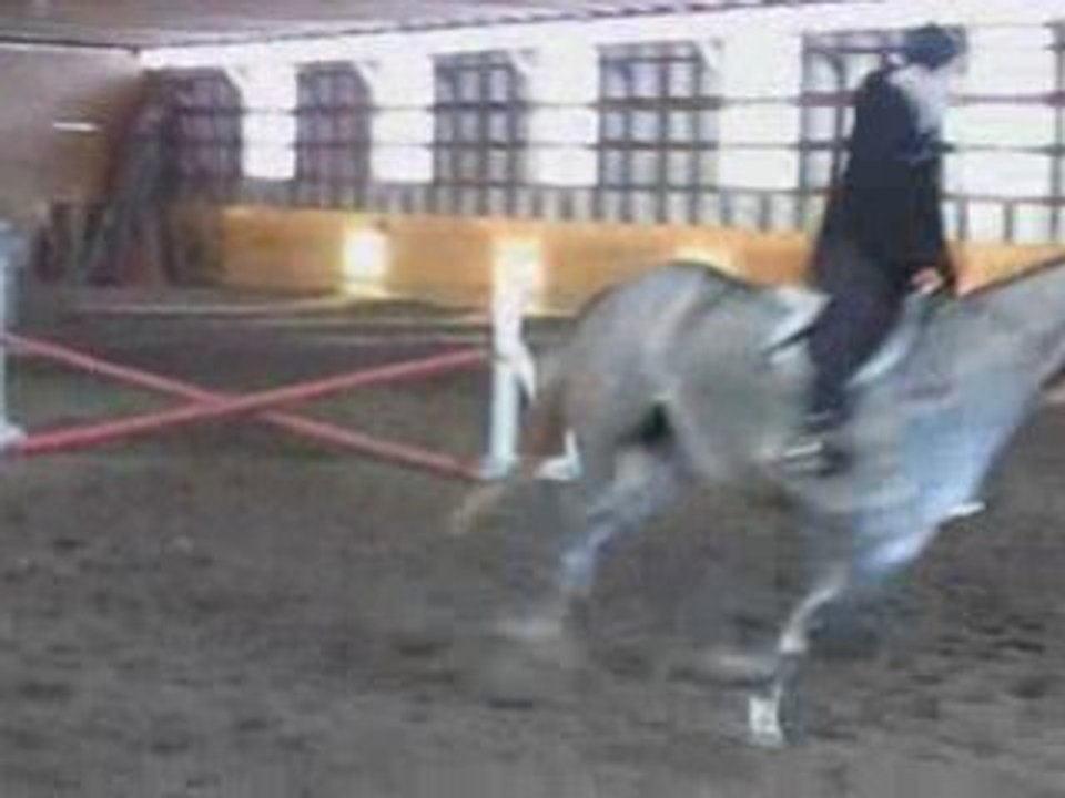 Jumper & Barney
