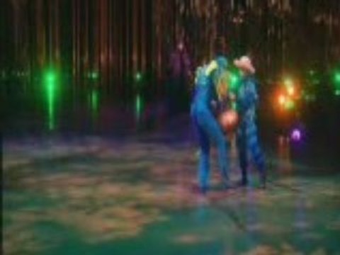 Cirque du soleil - Varekai