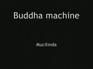 Buddha machine (Mucilinda) 06-03-2009
