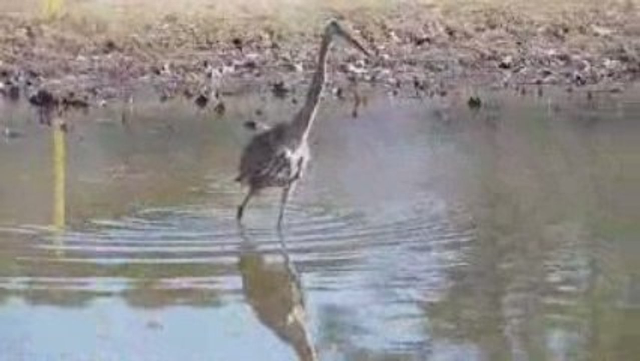 Stumpy Lake Virginia Beach