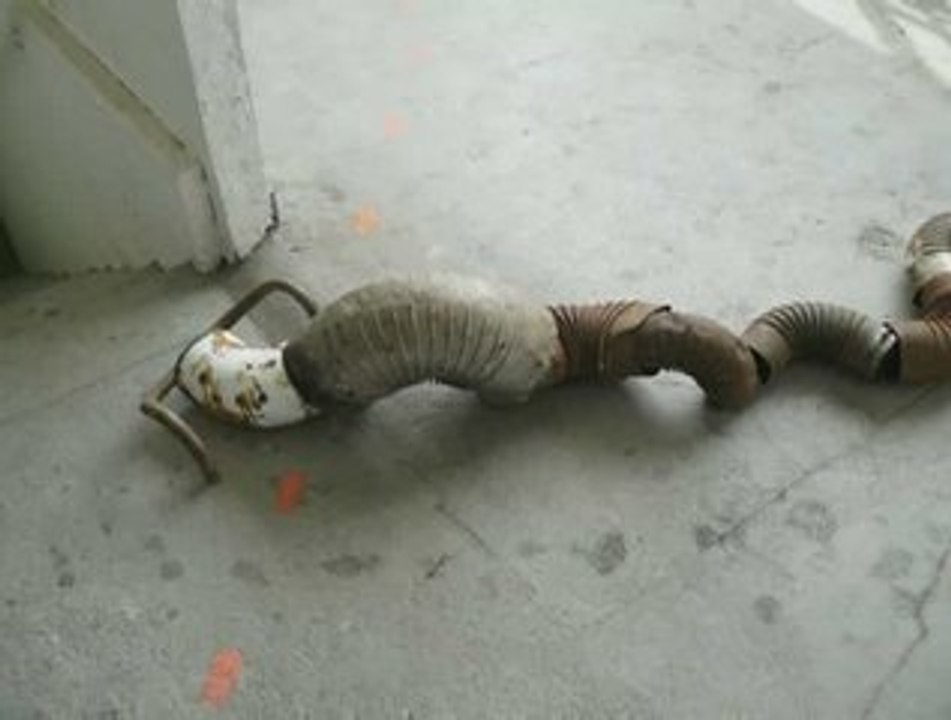 Le_serpent