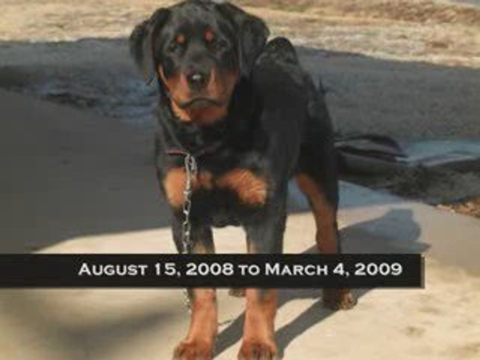 Rest IN Peace Dawga