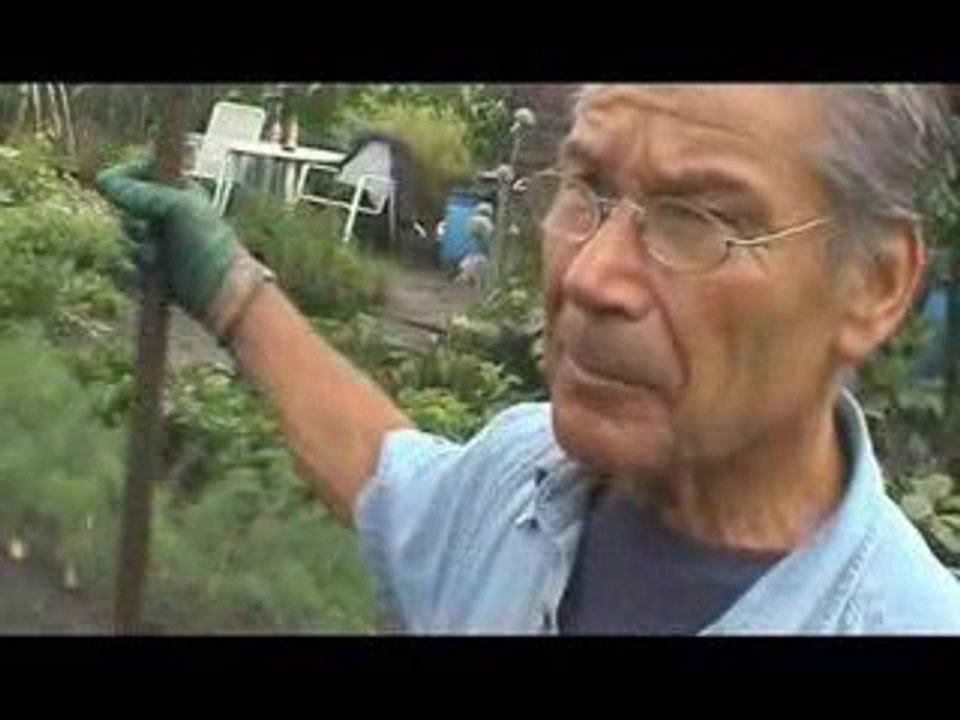 Mario callas De Groentetuin